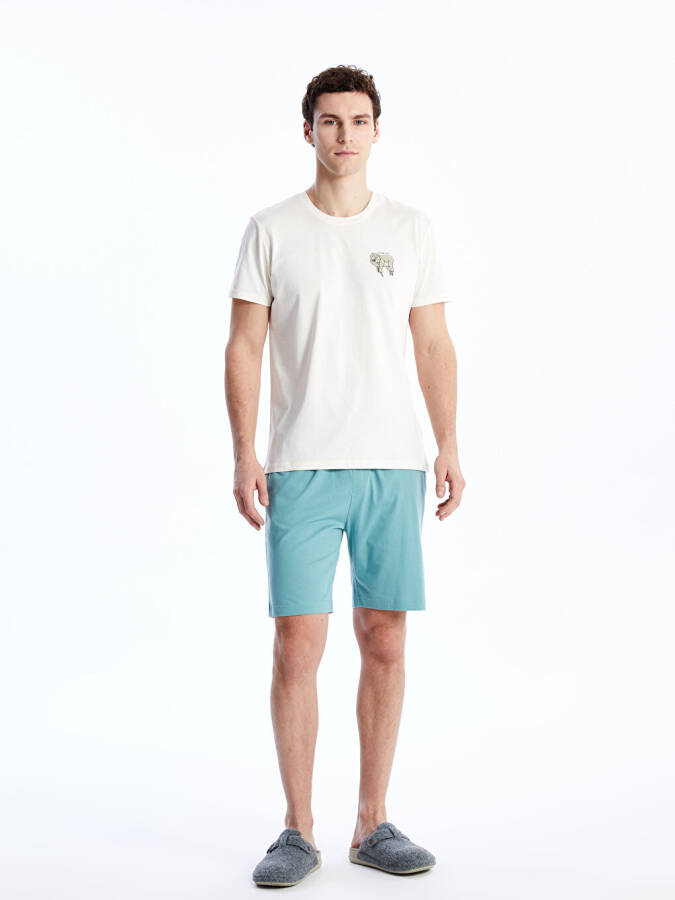 Slim Fit Men's Pajama Shorts - 9