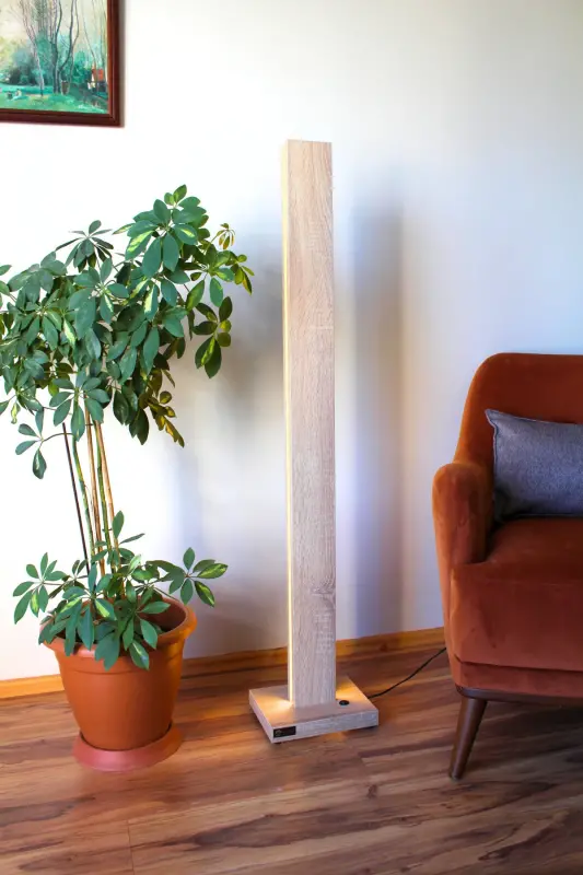 Smart Floor Lamp - 1