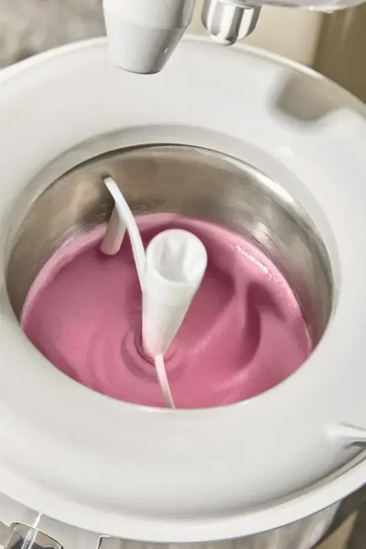 Smıc01: Muzlatilgan yogurt, sherbet va muzqaymoq tayyorlash uchun aksessuar. - 3