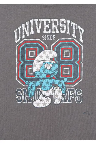 Smurflar bosilgan kulrang sviter 6S10085-80017 - 5