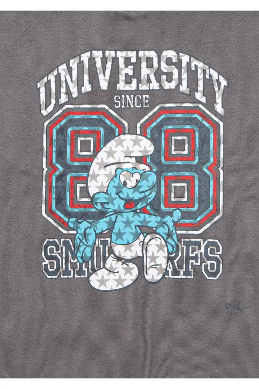 Smurflar bosilgan kulrang sviter 6S10085-80017 - 5