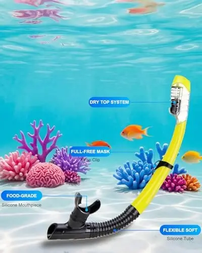 Snorkel mask Snorkeling Set for Adults and Youth, Diving mask and Full Dry Snorkel Swim Googles is Suitable for Snorkeling, Dive Scuba Diving, Swimming - 4