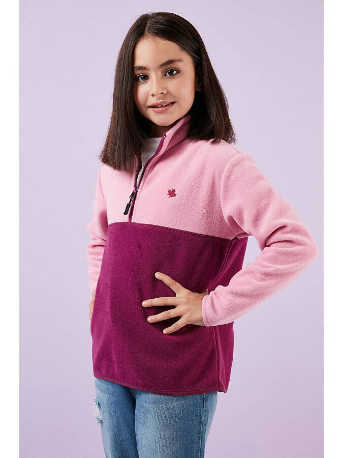 Soft Texture Half Zip Color Block Stand Collar Fleece 5905004 - 11