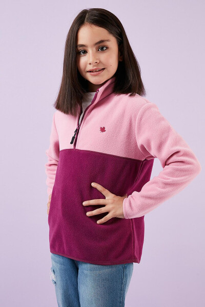 Soft Texture Half Zip Color Block Stand Collar Fleece 5905004 - 16