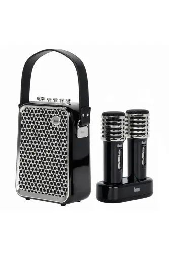 SongBird-HQ Черный Двойной Караоке Микрофон Bluetooth Колонка-Черный - 1