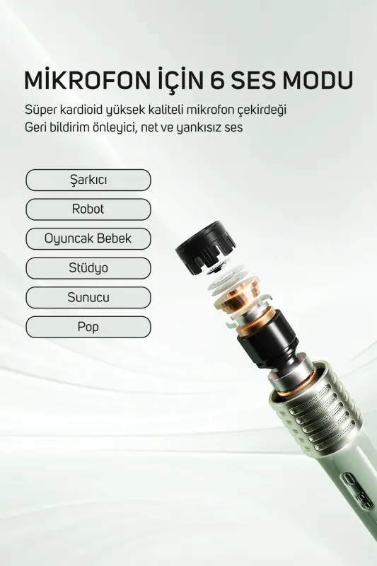 SongBird-HQ Ikki mikrofonli, 6 ta ovoz effektiga, 50 vatt quvvatli, koʻchma Bluetooth karnayi - 4