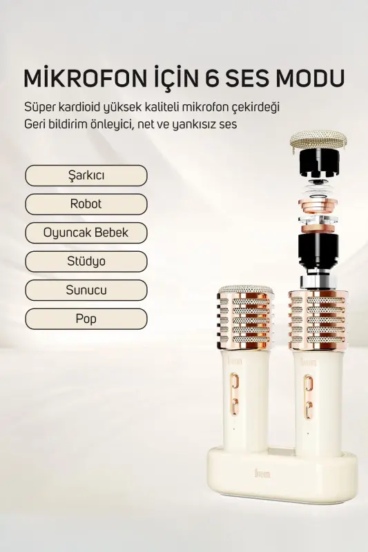 SongBird-HQ Juft Karaoke Mikrofonli 6 Ovoz Effektli 50 Watt Ko'chma Bluetooth Karnay-Oq - 4