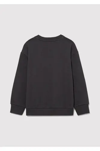 Sonic Printed Charcoal Sweatshirt - 3