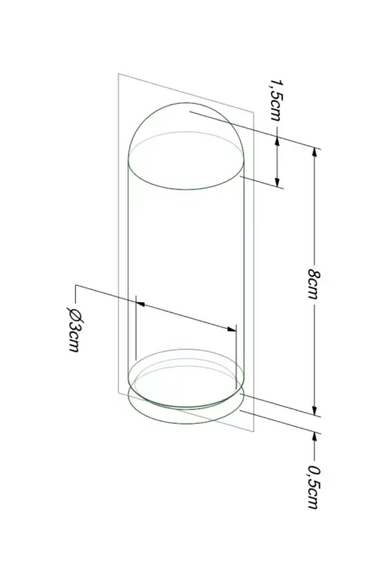 So'z, Nishon, Xina, To'y, Tug'ilgan kun, Mavlud, Nikoh shakari sovg'a esdalik plastik gul, 10 dona-Oq - 3