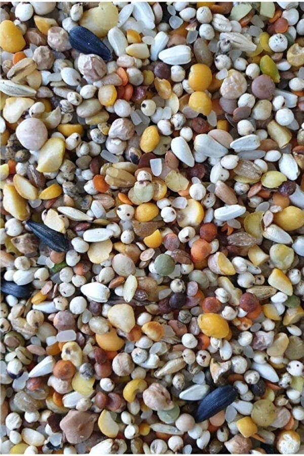 Special Mixed Pigeon Feed 5 Kg - 1