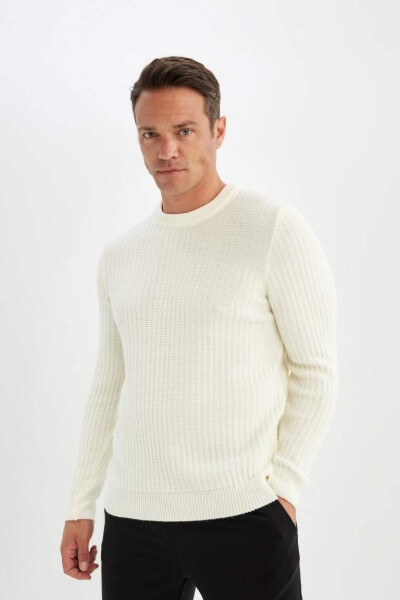 Standard Fit Crew Neck Jacquard Knit Sweater Ecru - 1