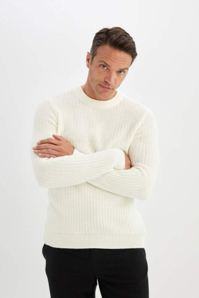 Standard Fit Crew Neck Jacquard Knit Sweater Ecru - 3