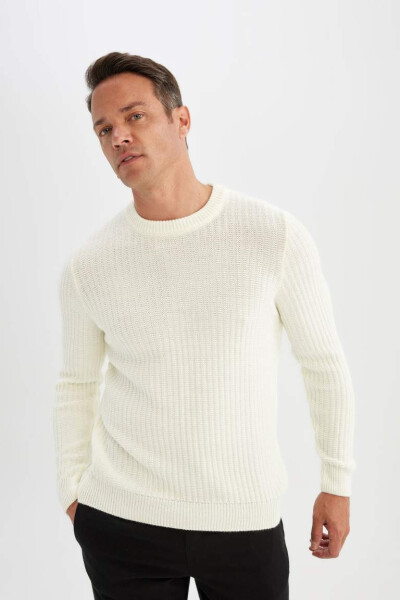 Standard Fit Crew Neck Jacquard Knit Sweater Ecru - 4