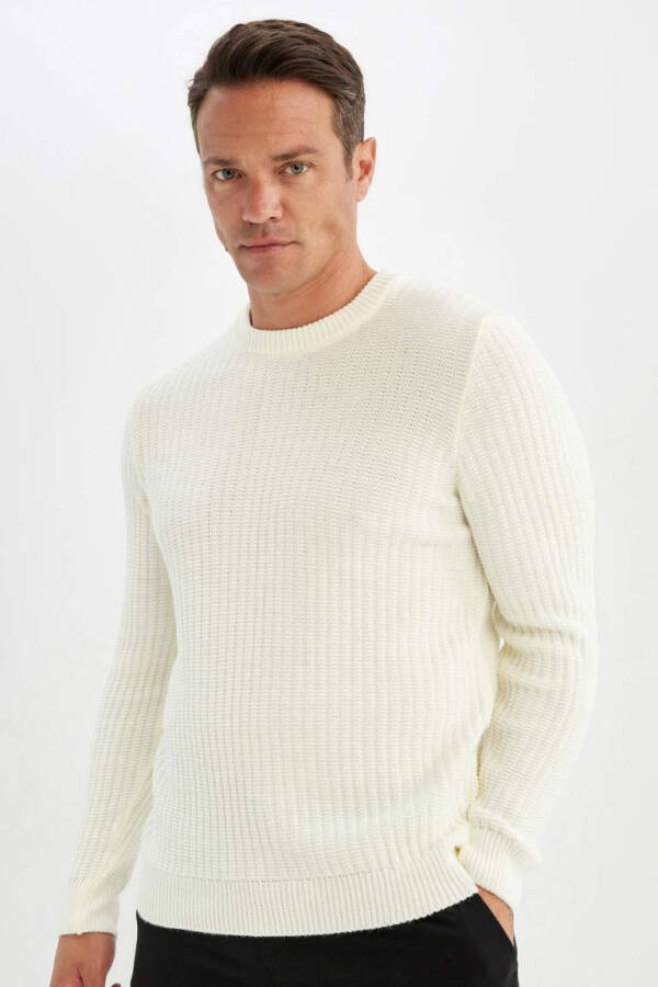 Standard Fit Crew Neck Jacquard Knit Sweater Ecru - 6