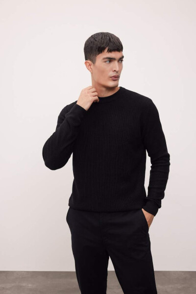 Standard Fit Crew Neck Pointelle Patterned Knitted Sweater Black - 2