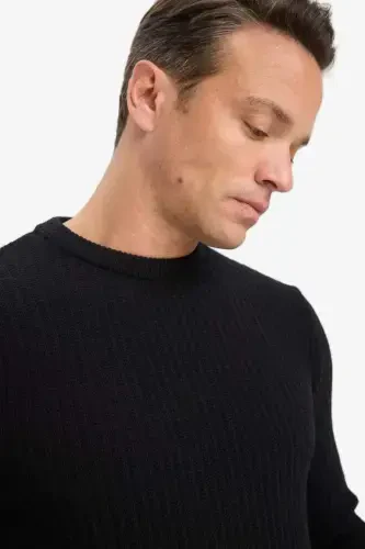 Standard Fit Crewneck Textured Knit Sweater Black - 4