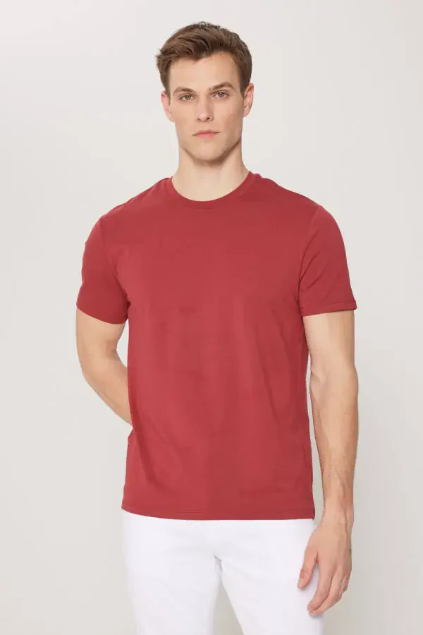 Standard Fit Regular Fit Crew Neck Cotton T-Shirt - 1