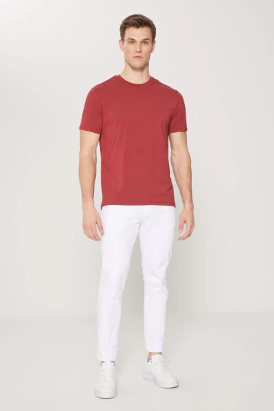 Standard Fit Regular Fit Crew Neck Cotton T-Shirt - 2