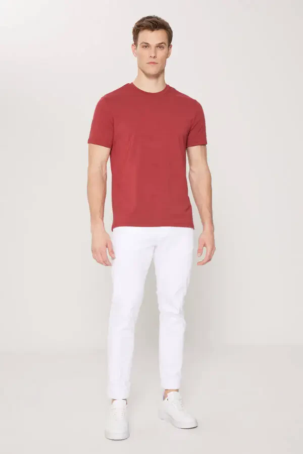 Standard Fit Regular Fit Crew Neck Cotton T-Shirt - 2