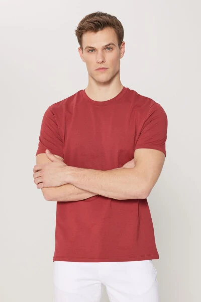 Standard Fit Regular Fit Crew Neck Cotton T-Shirt - 3