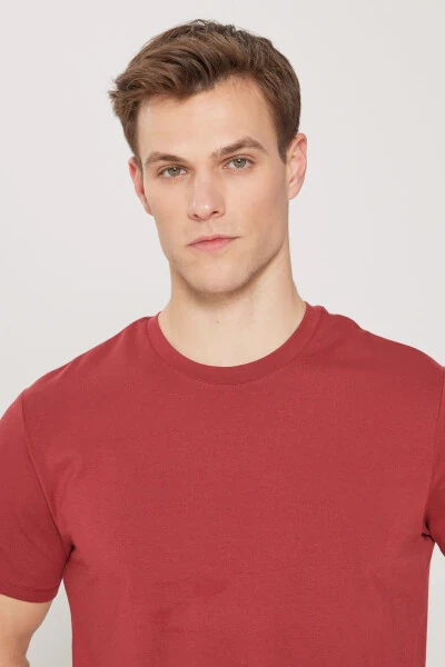 Standard Fit Regular Fit Crew Neck Cotton T-Shirt - 4