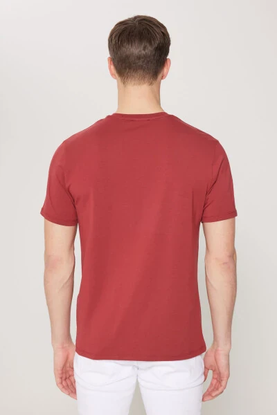 Standard Fit Regular Fit Crew Neck Cotton T-Shirt - 5