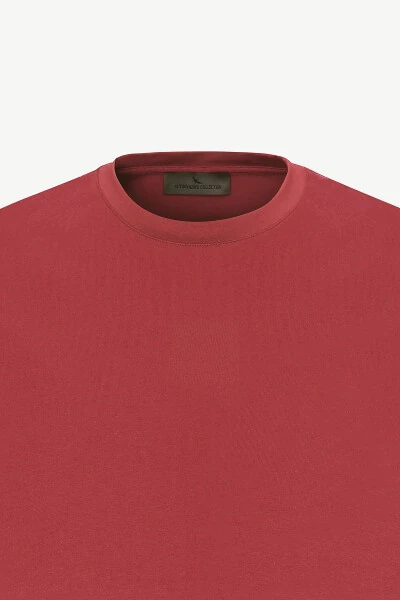 Standard Fit Regular Fit Crew Neck Cotton T-Shirt - 7