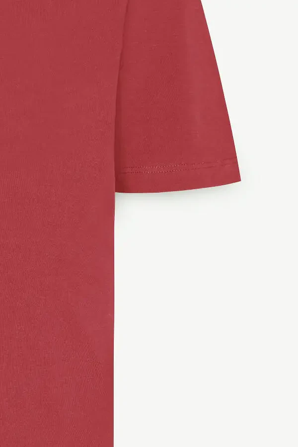 Standard Fit Regular Fit Crew Neck Cotton T-Shirt - 8