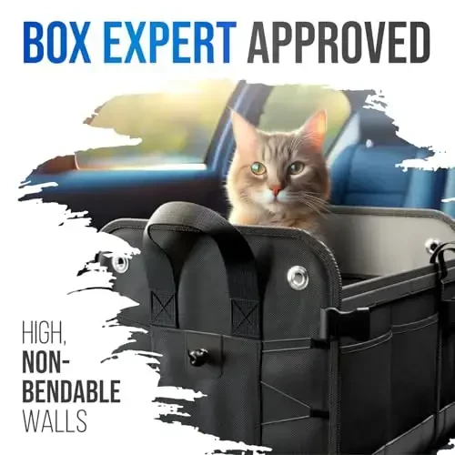 Starling's Car Trunk Organizer for SUV, Auto, Truck and Crossover | Box Trunk Organizer for Car Small with 2 Compartments and Straps | Car Trunk Storage Organizer with Non Slip Waterproof Bottom - 6