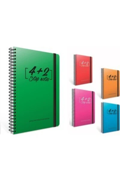 Step Notes 4+2 - GIPTA