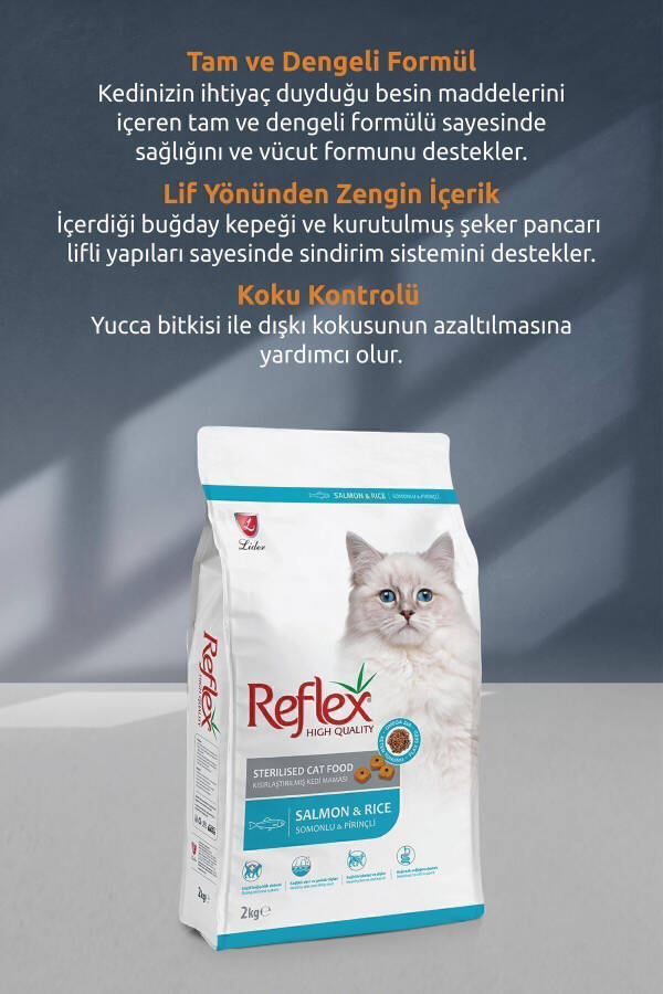 Sterilize Edilmiş Somonlu Kısırlaştırılmış Yetişkin Kedi Maması 10 Kg - 12