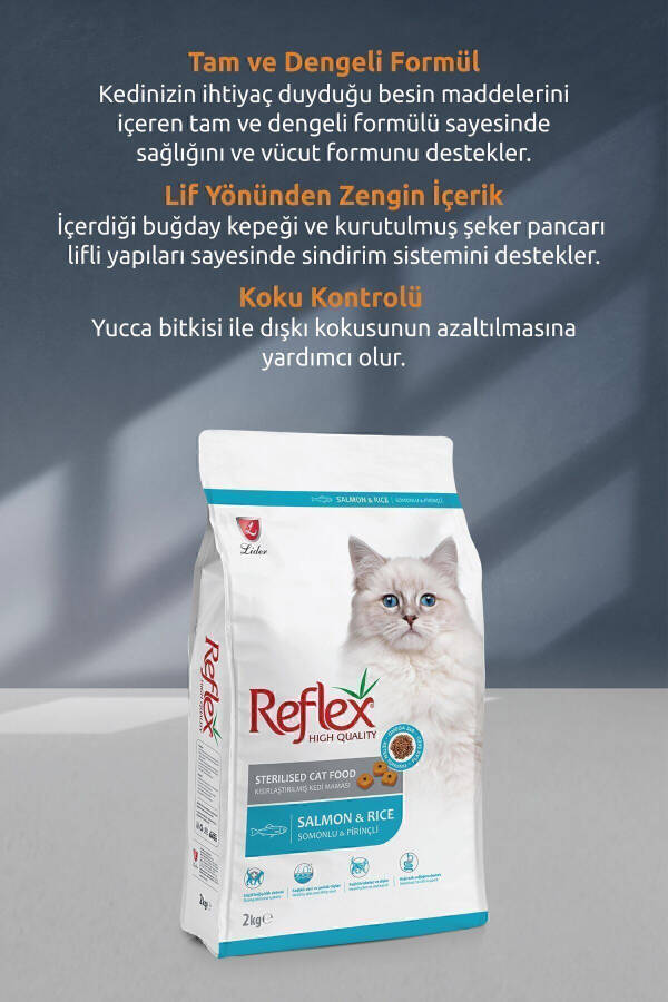 Sterilize Edilmiş Somonlu Kısırlaştırılmış Yetişkin Kedi Maması 10 Kg - 6