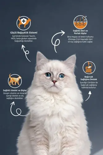 Kısırlaştırılmış / Sterilised Somonlu Kedi Maması 10 kg - 1