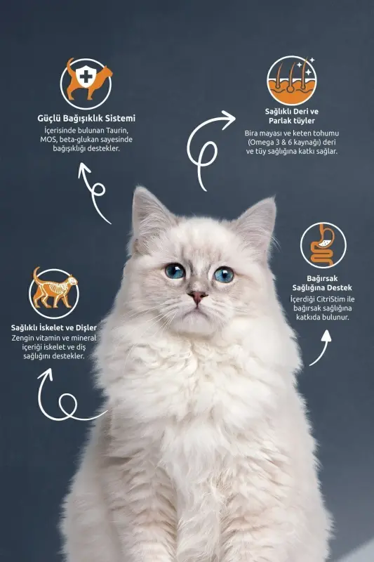 Kısırlaştırılmış / Sterilised Somonlu Kedi Maması 10 kg - 1