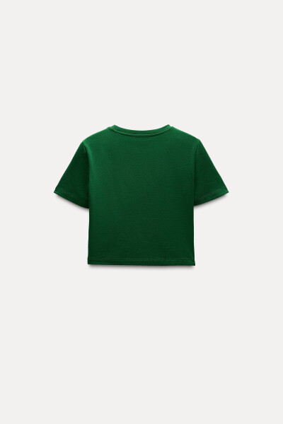 Stretch Crop T-Shirt - Green - 17