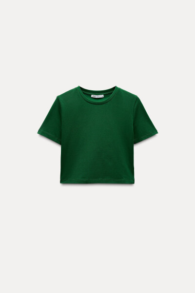 Stretch Crop T-Shirt - Green - 10