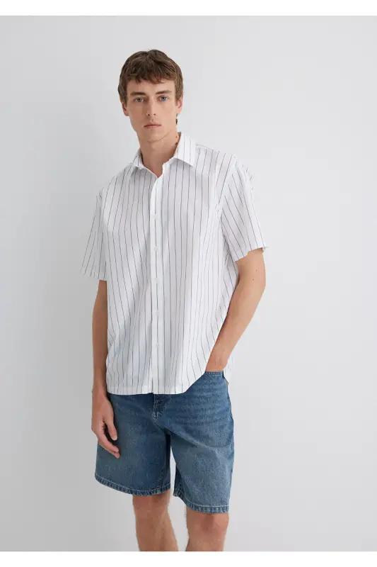 Striped Grey Shirt Regular Fit - 2