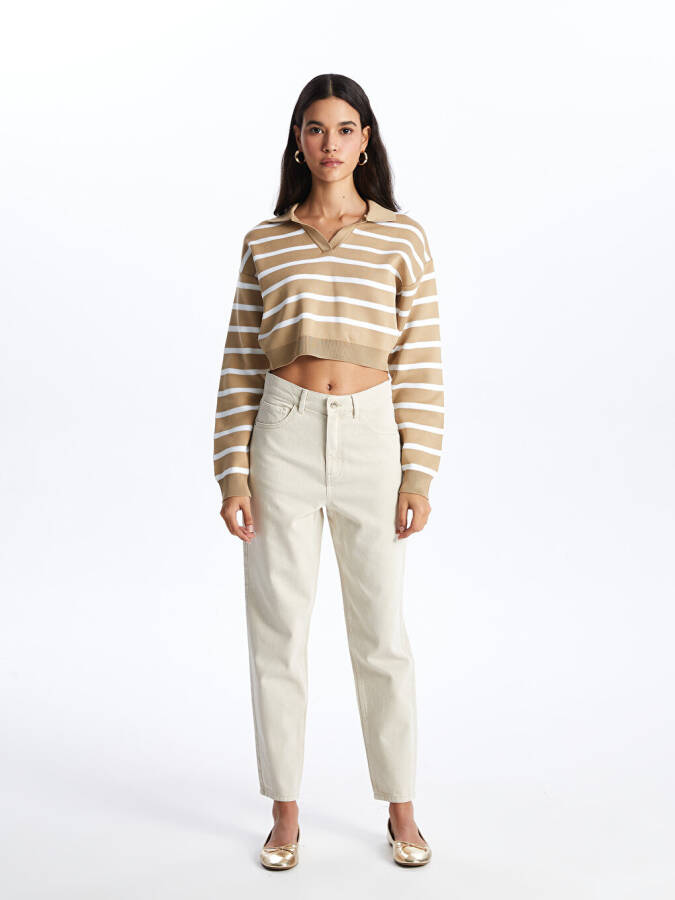 Striped Long Sleeve Crop Women's Knit Polo Sweater - 17