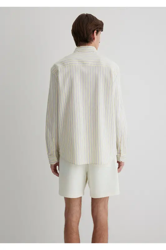 Striped Shirt Regular Fit / Normal Cut 0211433- - 4