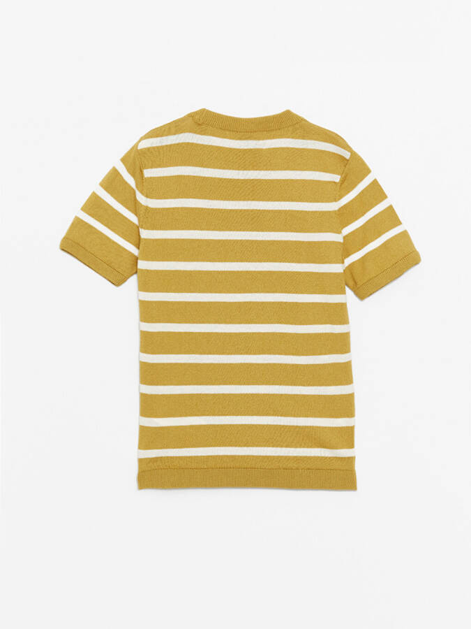 Striped Short Sleeve Boys' Crew Neck Knit Sweater - 6