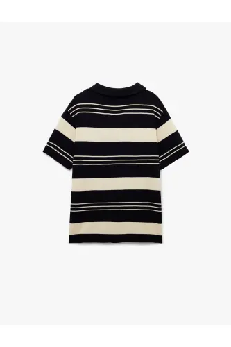 Striped Short Sleeve Regular Fit Polo Neck Knitwear T-Shirt - 4