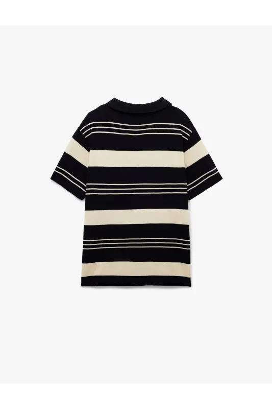 Striped Short Sleeve Regular Fit Polo Neck Knitwear T-Shirt - 4