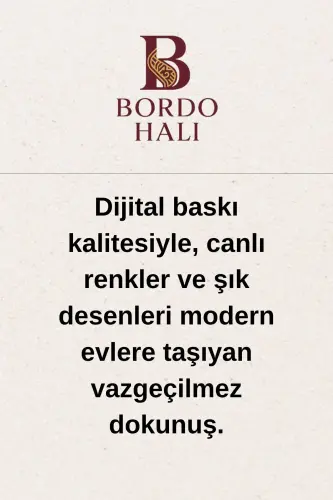 Su Emici Yumuşak Kaymaz Taban Sünger Dolgulu Pamuksu Doku Yıkanabilir Dekoratif Banyo Paspası 1150 - Çok Renkli - 13