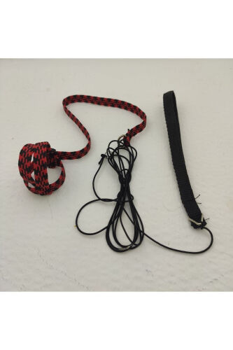 Sultan Papağanı Tasması Özel Patentli Kuşu Koruyan Tasarım - OZZIPETSHOP (1)