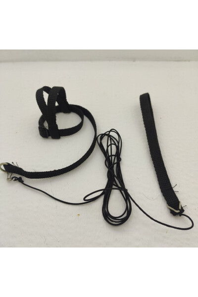 Sultan Parrot Leash - 4