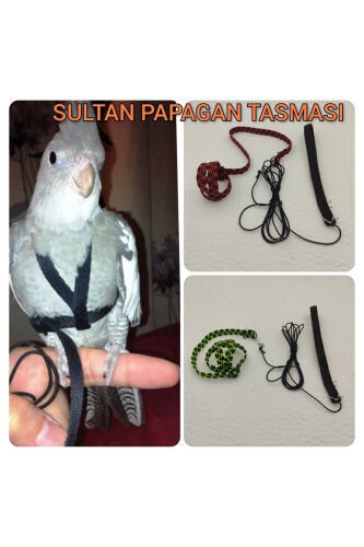 Sultan to'tisi bo'yni - OZZIPETSHOP