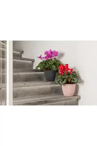 Sümela Knitted Pot No3 2.5 Liter Self-Tray Plant Flower Pot-Red - 5