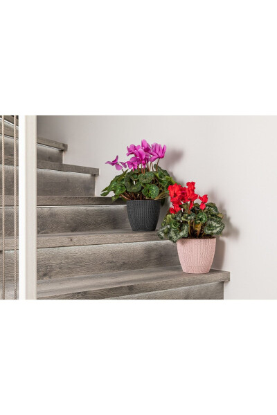 Sumela Knitted Pot No3 2.5 Liters Self-Plate Plant Flower Pot-Rosewood - 5