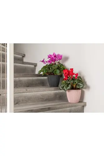 Sümela Örgü Saksı No3 2,5 Litre Kendinden Tabaklı Bitki Çiçek Saksısı-Mocha - 5