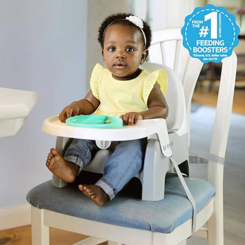 Summer Infant Deluxe Learn-to-Dine Feeding Seat – Infant and Toddler Feeding Chair and Booster Seat with Tray and 2 Snap-in Plates - 33